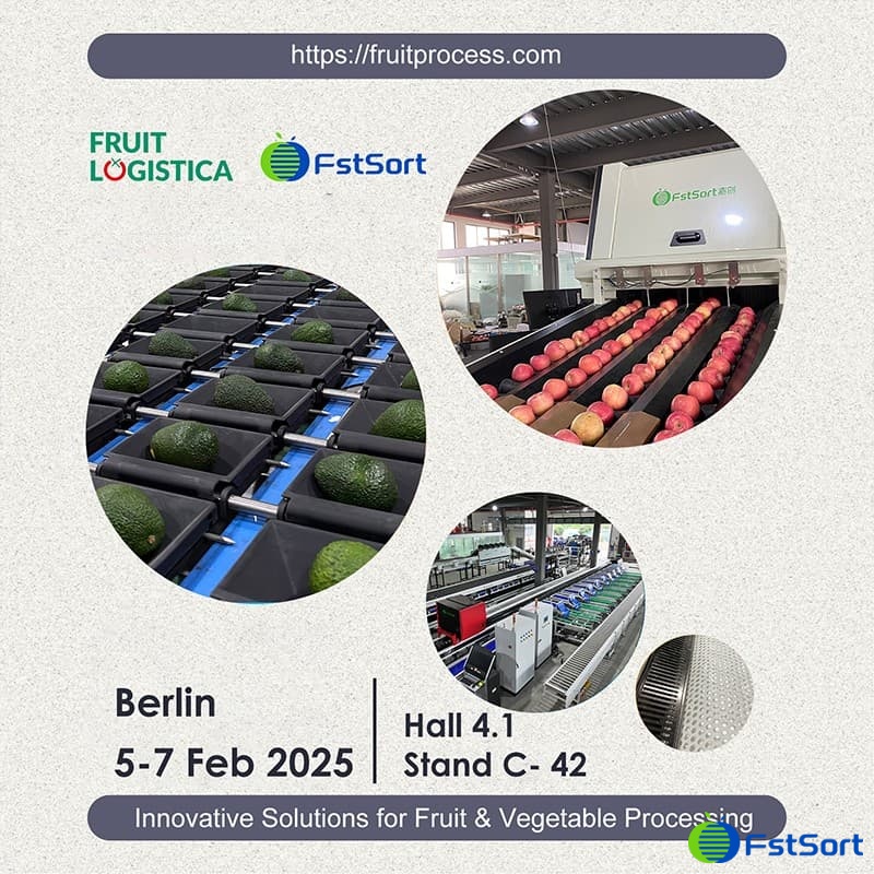 images/1737532497459fruit sorting machine.jpg